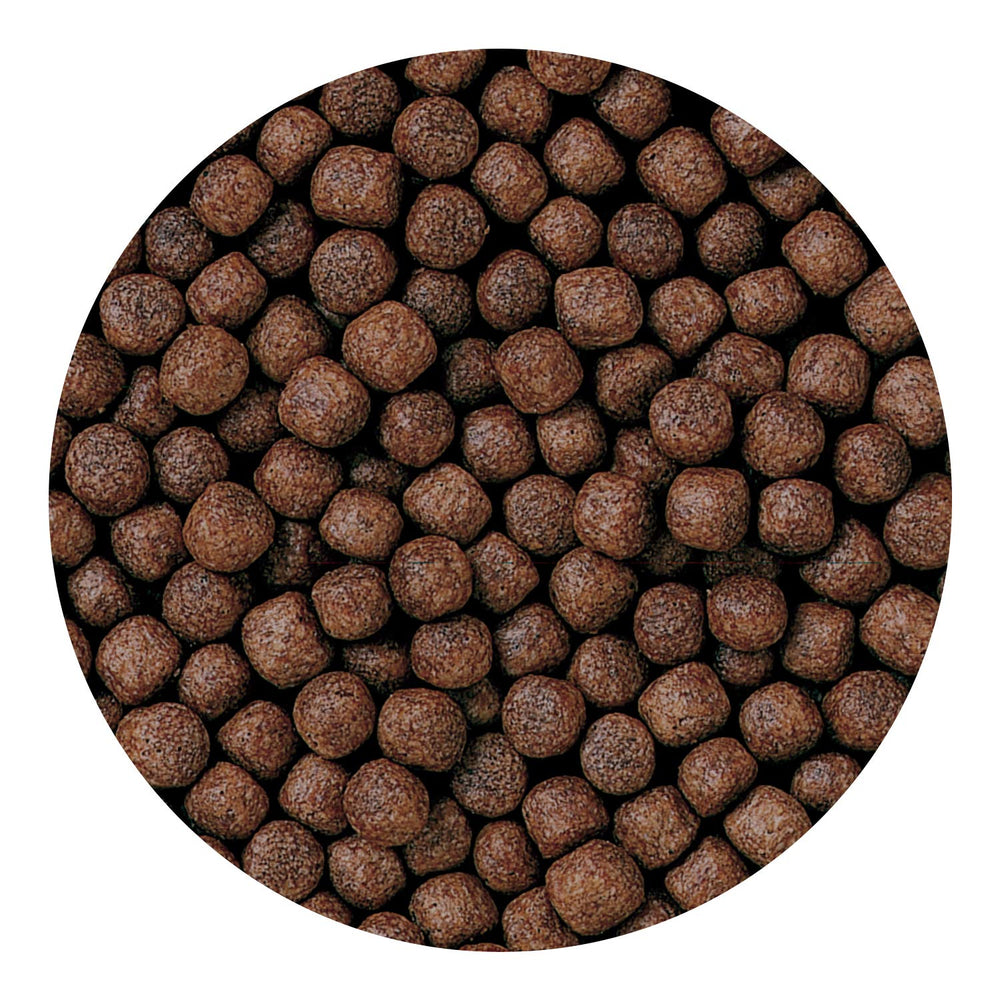 Hikari Bio-Gold with color-enhancing ingredients supports vivid fish coloration.