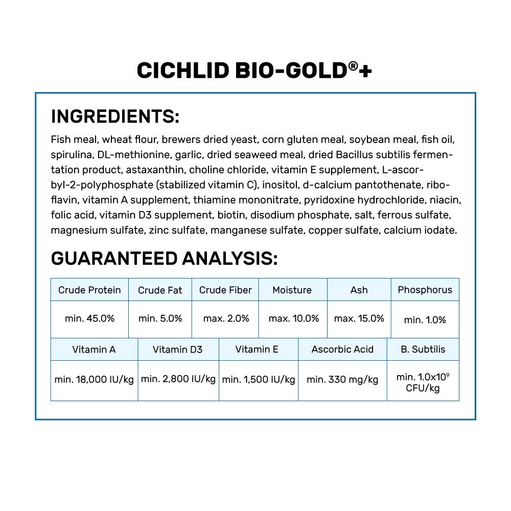 Hikari Bio-Gold floating pellets dispersing in water show steady feeding and reduced waste.