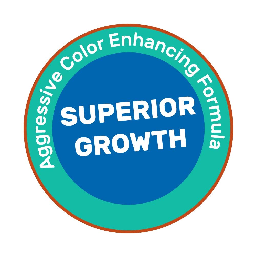 Hikari Germ digestive support image suggests better nutrient utilization.