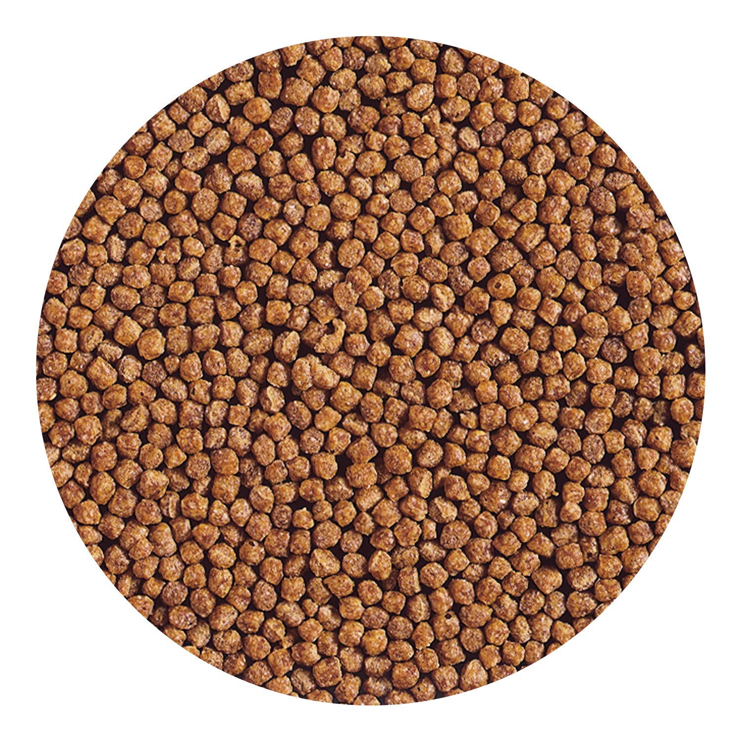 Hikari Gold baby pellet jar with label—bulk packaging for regular meals