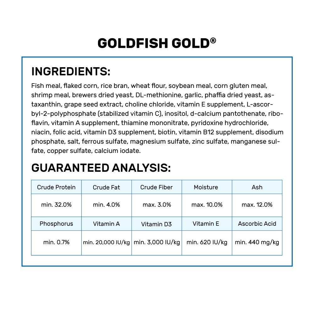 Hikari Gold juvenile goldfish eating—small pellets suited to young fish