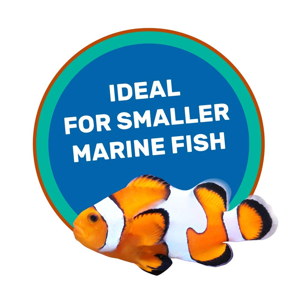 Hikari Marine-S pellets in-tank scene suggest stable nutrition for miniature omnivores.