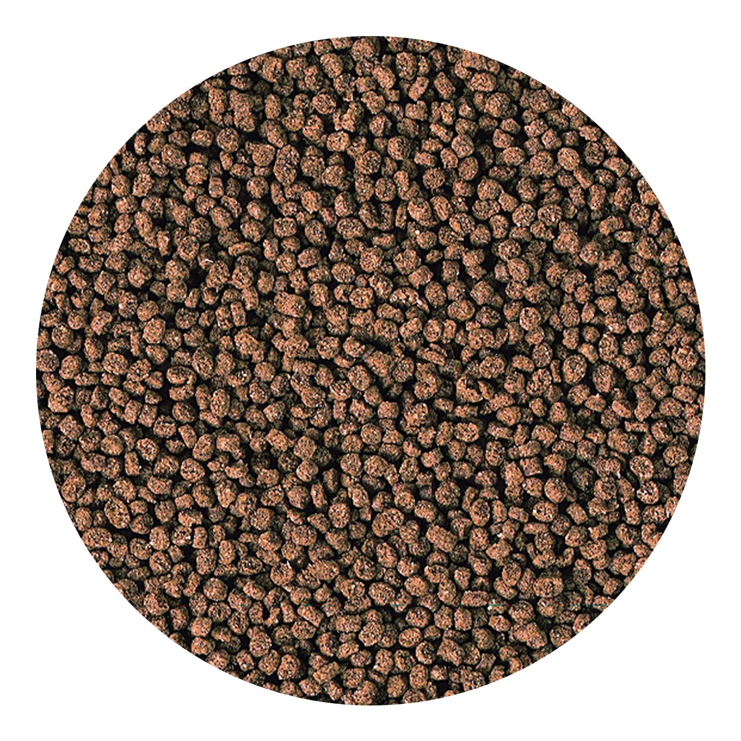 Hikari Marine-S pellets reef-diet image aligns with natural reef foods for tiny carnivores.