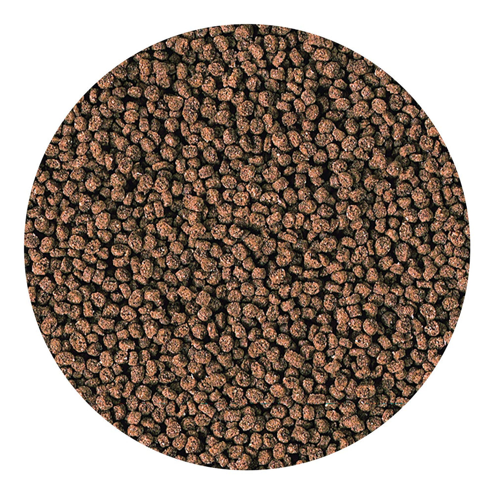 Hikari Marine-S pellets reef-diet image aligns with natural reef foods for tiny carnivores.