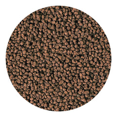 Hikari Marine-S pellets reef-diet image aligns with natural reef foods for tiny carnivores.