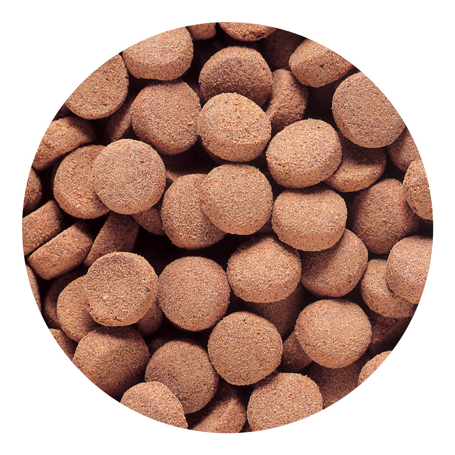 Hikari Massivore Delite feeding in dish demonstrates easy portioning and reduced waste.