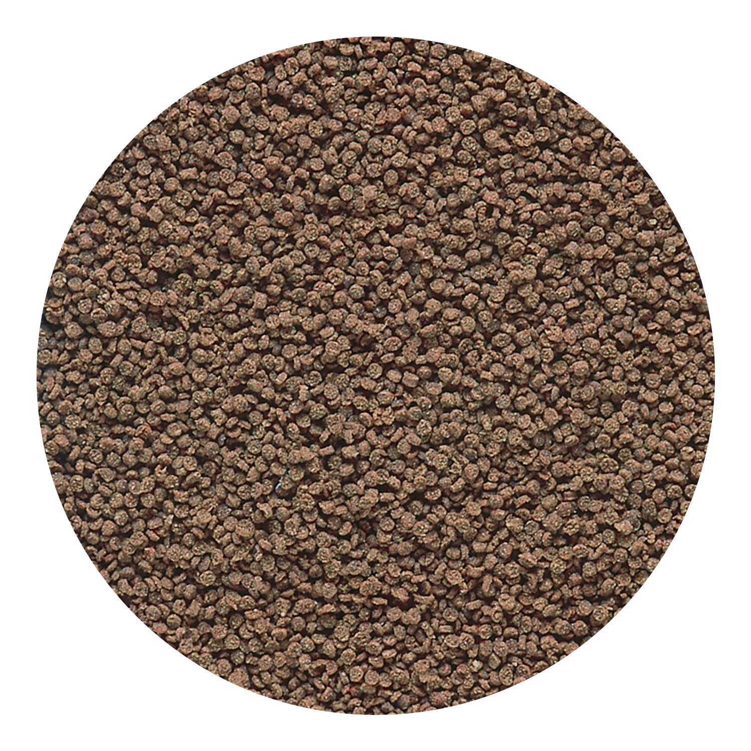 Hikari Micro Wafers tank-feeding demonstrates sinking pellets reaching mid to lower levels.
