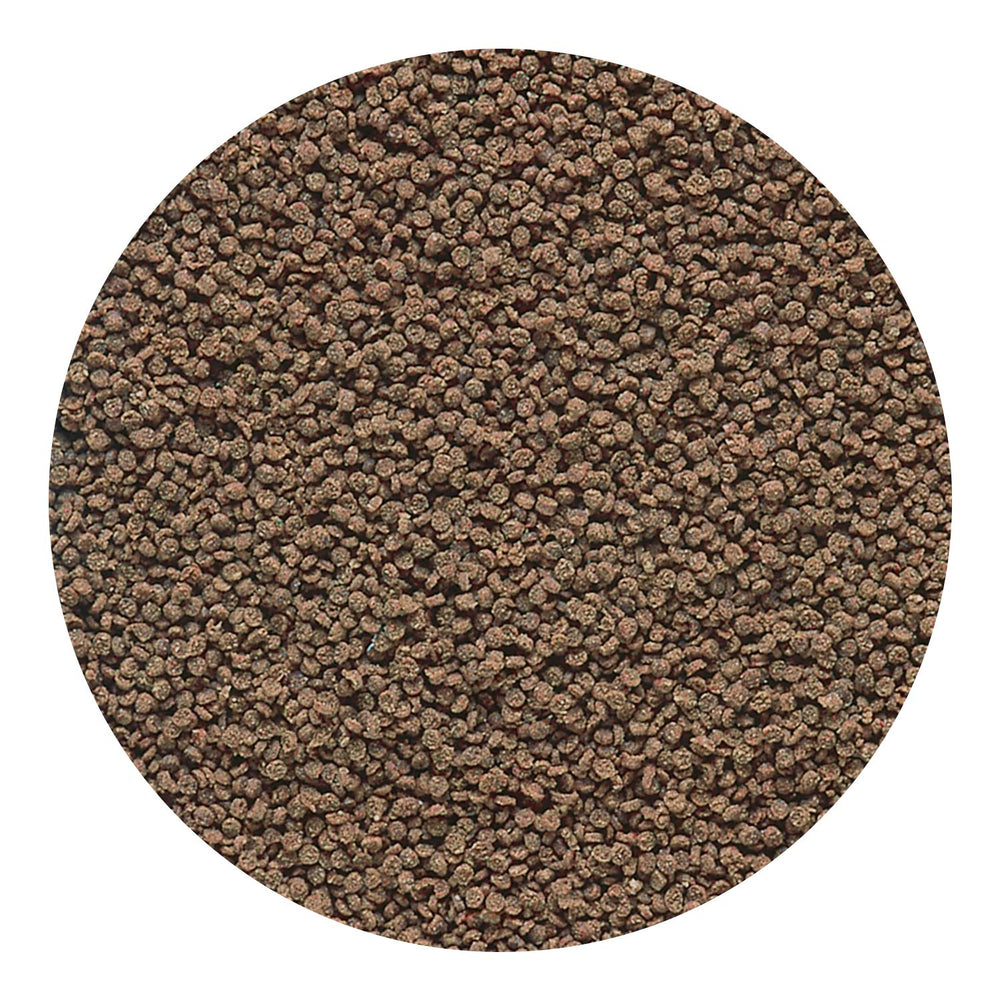 Hikari Micro Wafers include stabilized Vitamin C for overall resilience