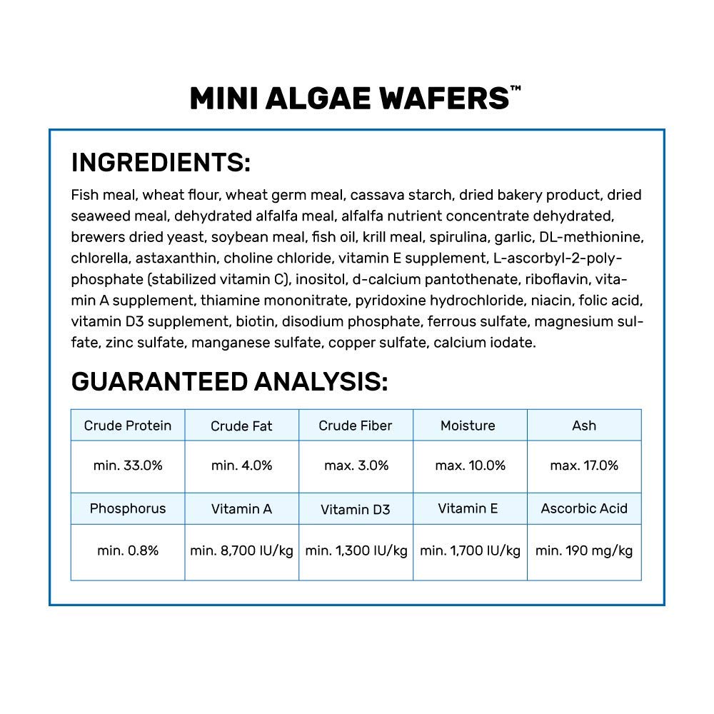 Hikari Mini Algae Wafers closeup wafers reveal crisp, algae-based texture