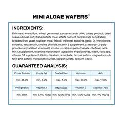 Hikari Mini Algae Wafers closeup wafers reveal crisp, algae-based texture