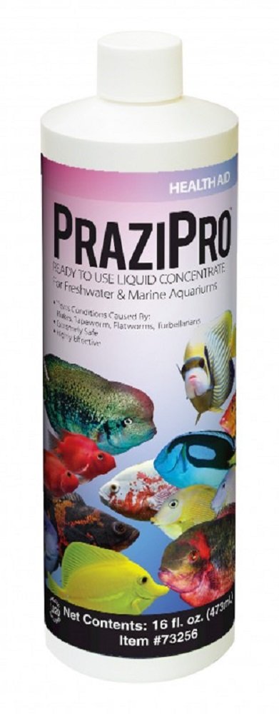 Hikari Prazipro 16oz bottle for parasite treatment in freshwater and marine aquariums.