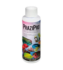 Hikari Prazipro 1oz bottle close-up for aquarium parasite treatment