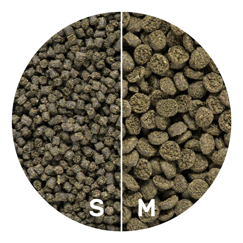 Hikari Seaweed Extreme formula supports growth and coloration in reef fish.