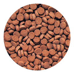 Hikari Sinking Carnivore Pellets in dish highlight color-brightening carotenoids.