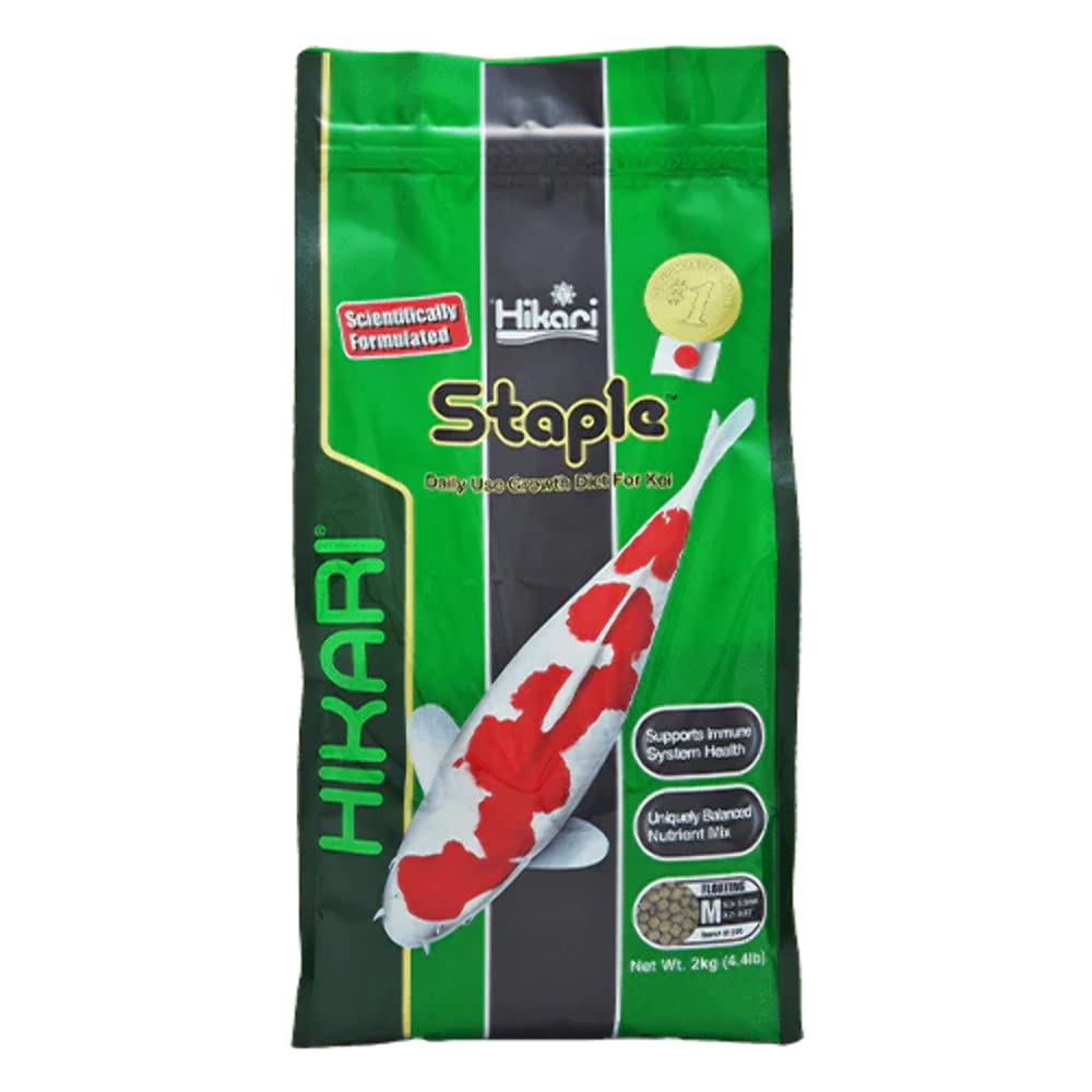 Hikari staple floating pellets closeup for koi nutrition and portion control