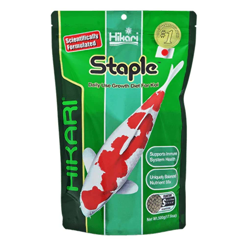 Hikari staple floating pellets in pond water for steady feeding and clarity