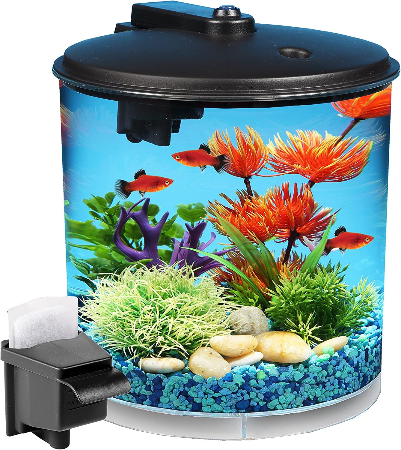 Hikari storage bag and scoop illustrate clean, convenient feeding routine.