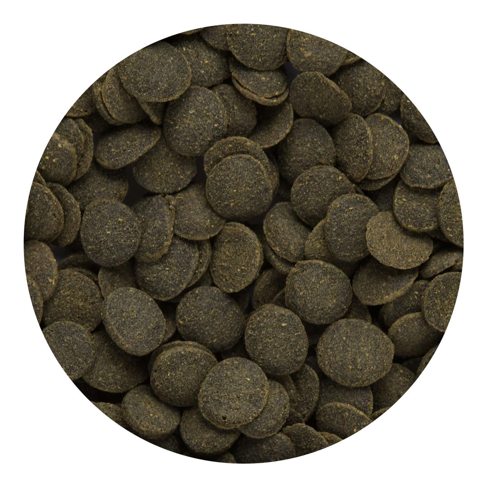 Hikari Tropical Mini Algae Wafers close-up highlighting vegetable-protein balance.