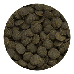 Hikari Tropical Mini Algae Wafers close-up highlighting vegetable-protein balance.