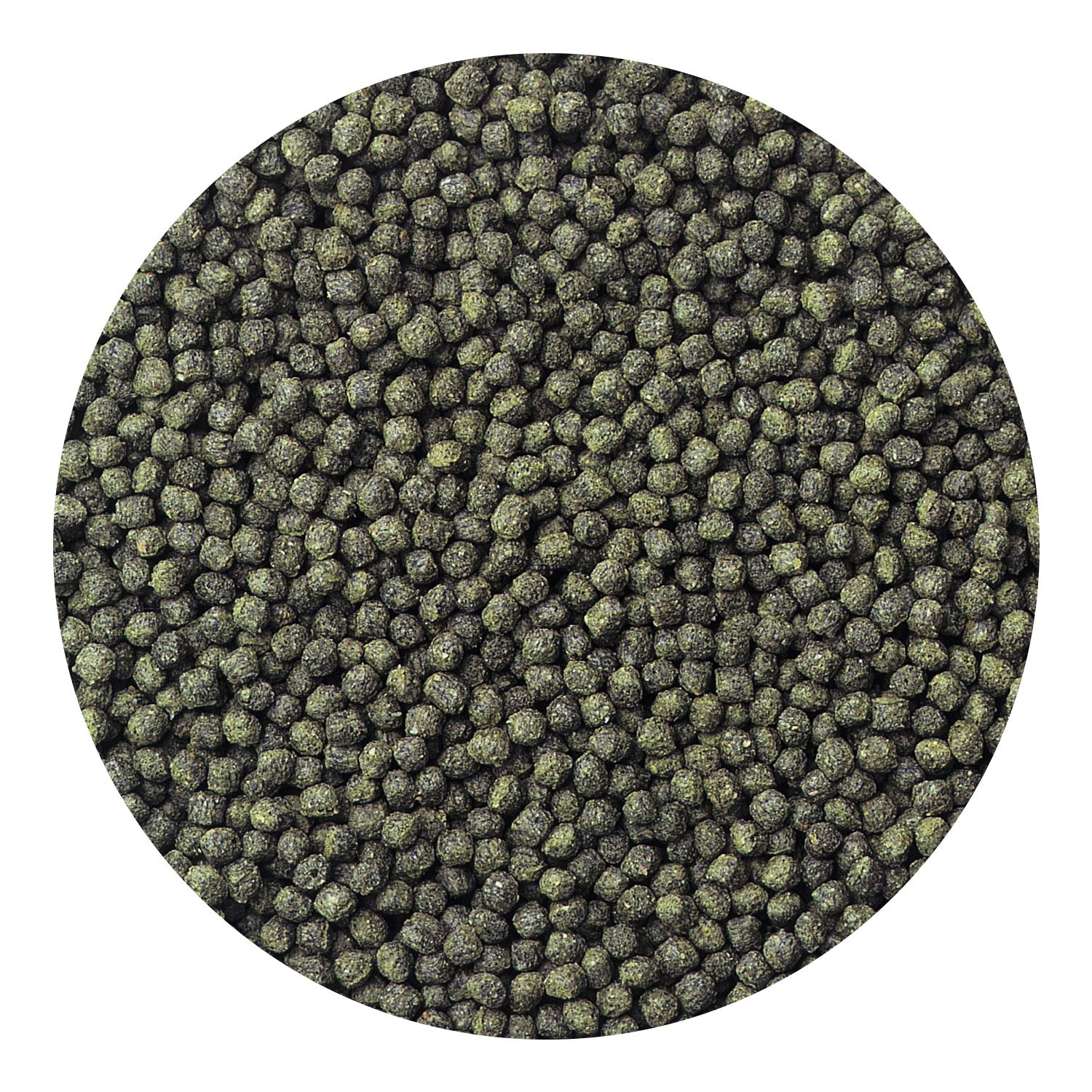 Hikari vitamin E enriched pellets promote long-term vitality