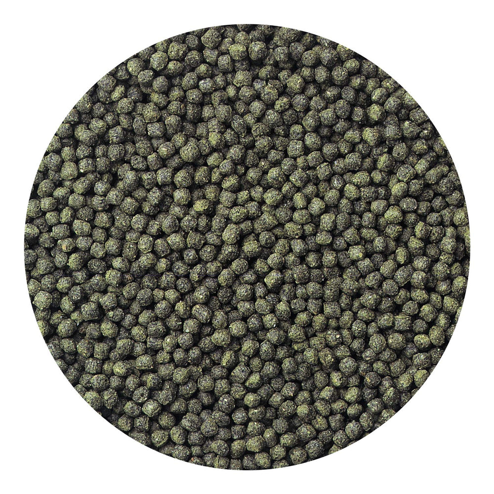 Hikari vitamin E enriched pellets promote long-term vitality