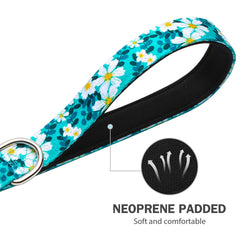 Hikiko leash features a 360° rotating clasp to minimize tangling during walks.