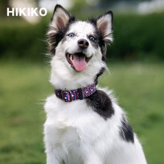 Hikiko American Flag Martingale worn by medium dog in blue star design
