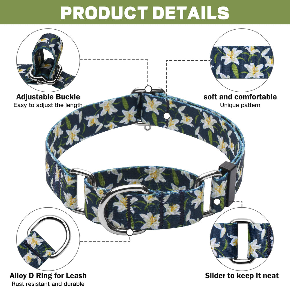 Hikiko collar on a medium dog with fit chart reference