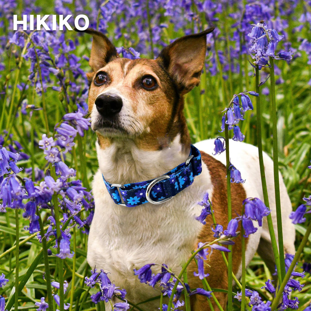 Hikiko collar metal attachments durable for long-lasting use