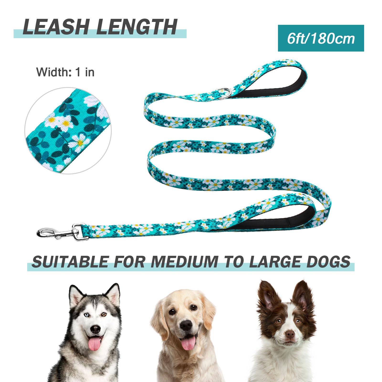 Hikiko leash includes a D-ring for attaching a waste bag dispenser.