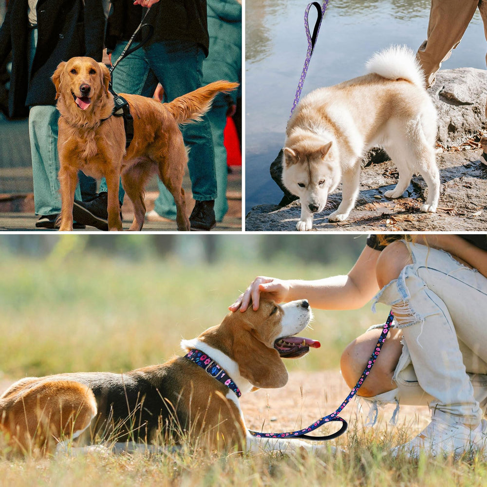 Hikiko durable nylon leash 6ft designed for medium to large dogs.