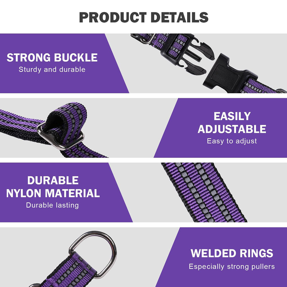 Hikiko durable soft-nylon dog collar stands up to daily wear and gentle pulls.