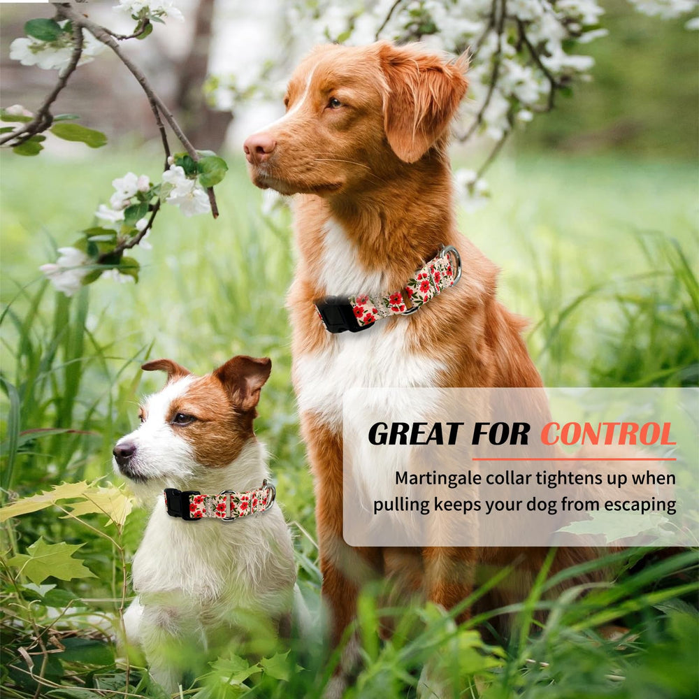 Hikiko floral dog collar ideal for daily walks and adventures with your dog.