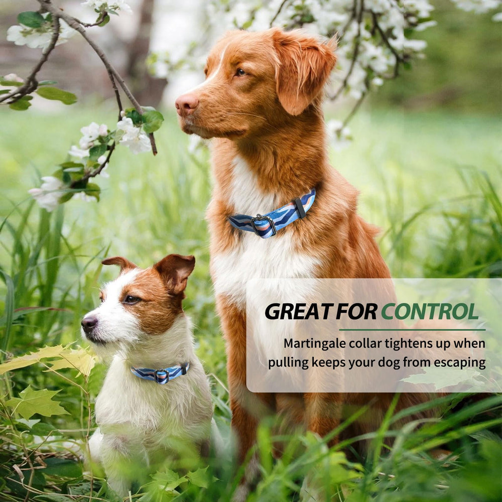 Hikiko Martingale Collar Blue Mountain dog-walking-use helps prevent escapes on walks