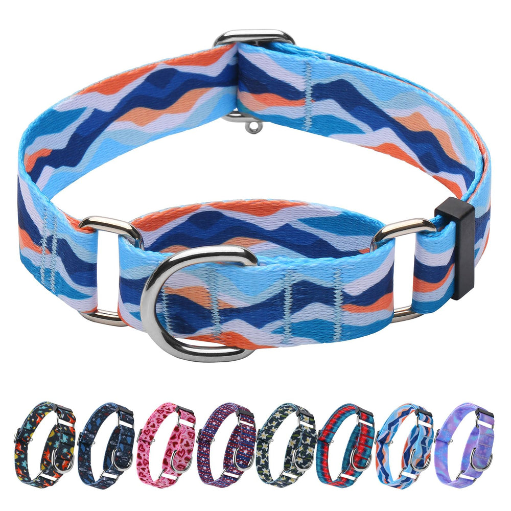 Hikiko Martingale Collar blue mountain front view shows secure training during outdoor walks