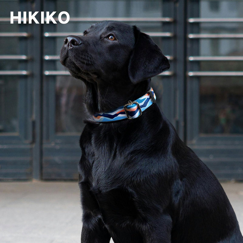 Hikiko Martingale Collar Blue Mountain nylon material provides comfortable wear