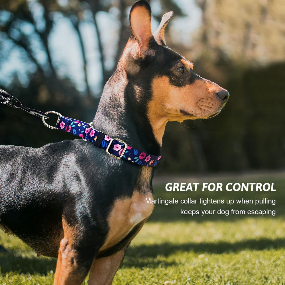 Hikiko Martingale collar durability and hardware for everyday use.