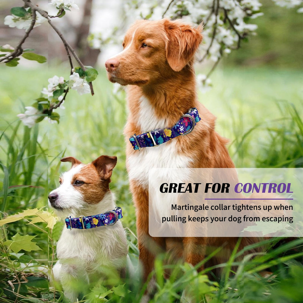 Hikiko martingale collar durable metal accents withstand daily training and play