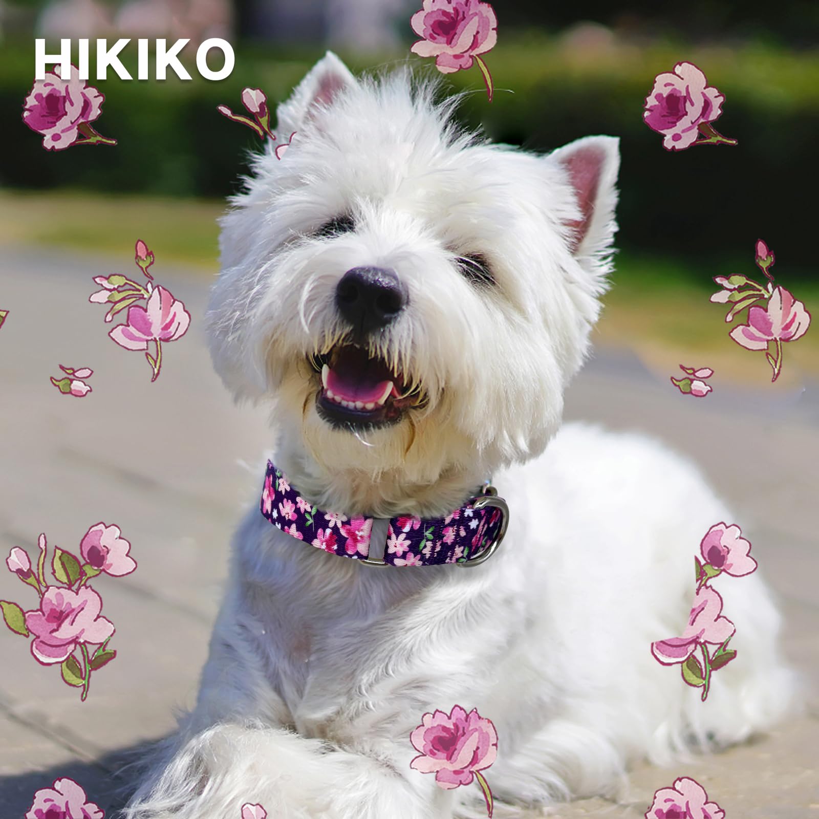 Hikiko martingale collar for medium dogs shown with proper two-finger fit guidance.