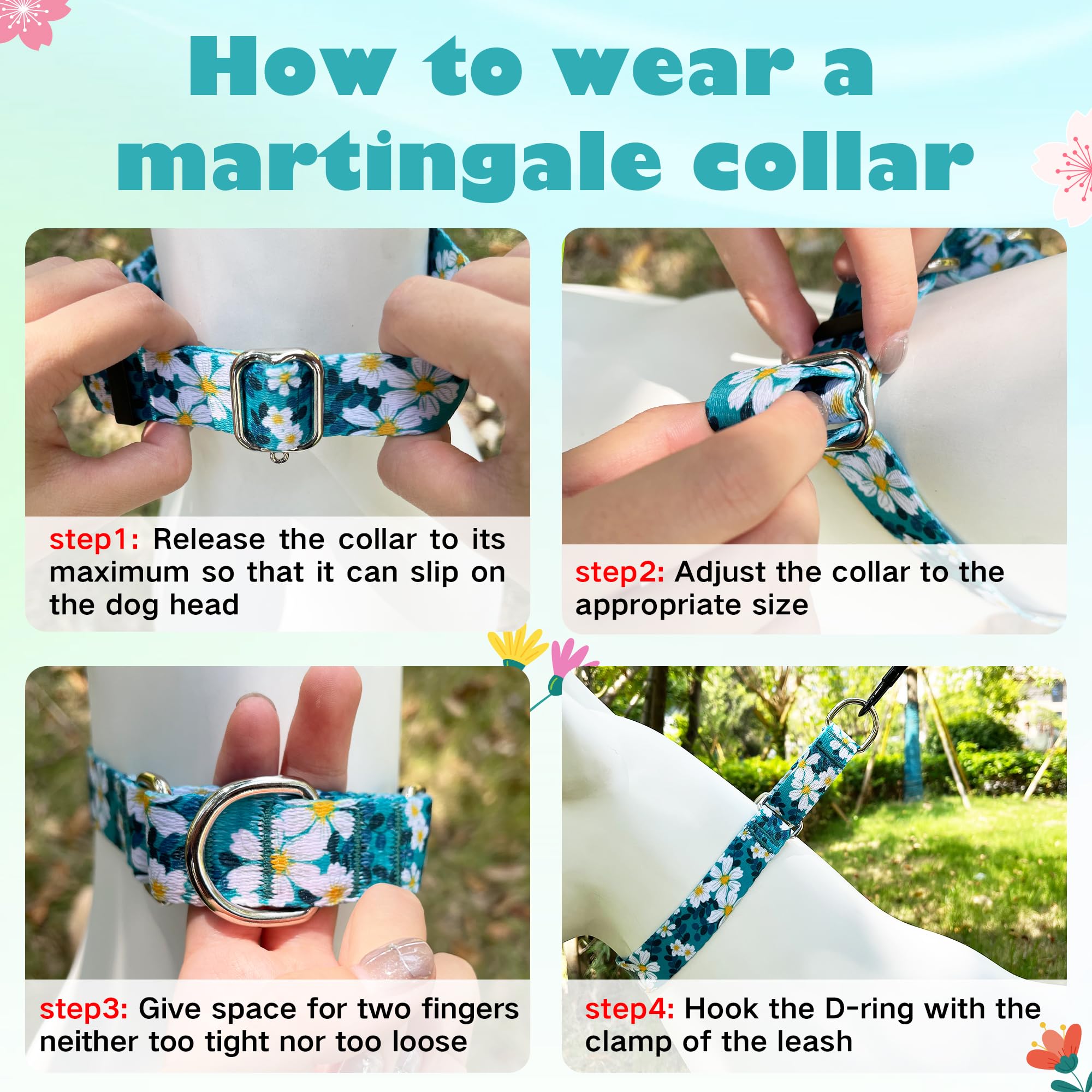 Hikiko no-buckle collar with metal accents for reliable control during walks