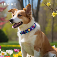 Hikiko martingale collar nylon webbing detail highlights comfortable material for all-day wear