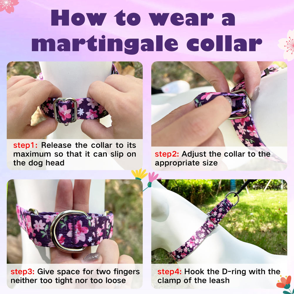 Hikiko purple floral pattern collar used during walking, ideal for training and behavior cues.