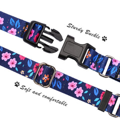 Hikiko Martingale collar size-adjustment demo for secure, comfortable fit.