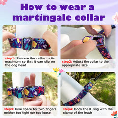Hikiko martingale collar size guide XS displays precise measurements for a proper fit