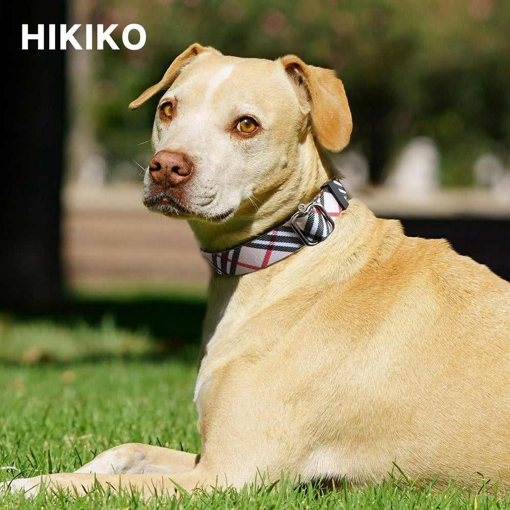 Hikiko Martingale close-up showing durable nylon webbing and sturdy hardware