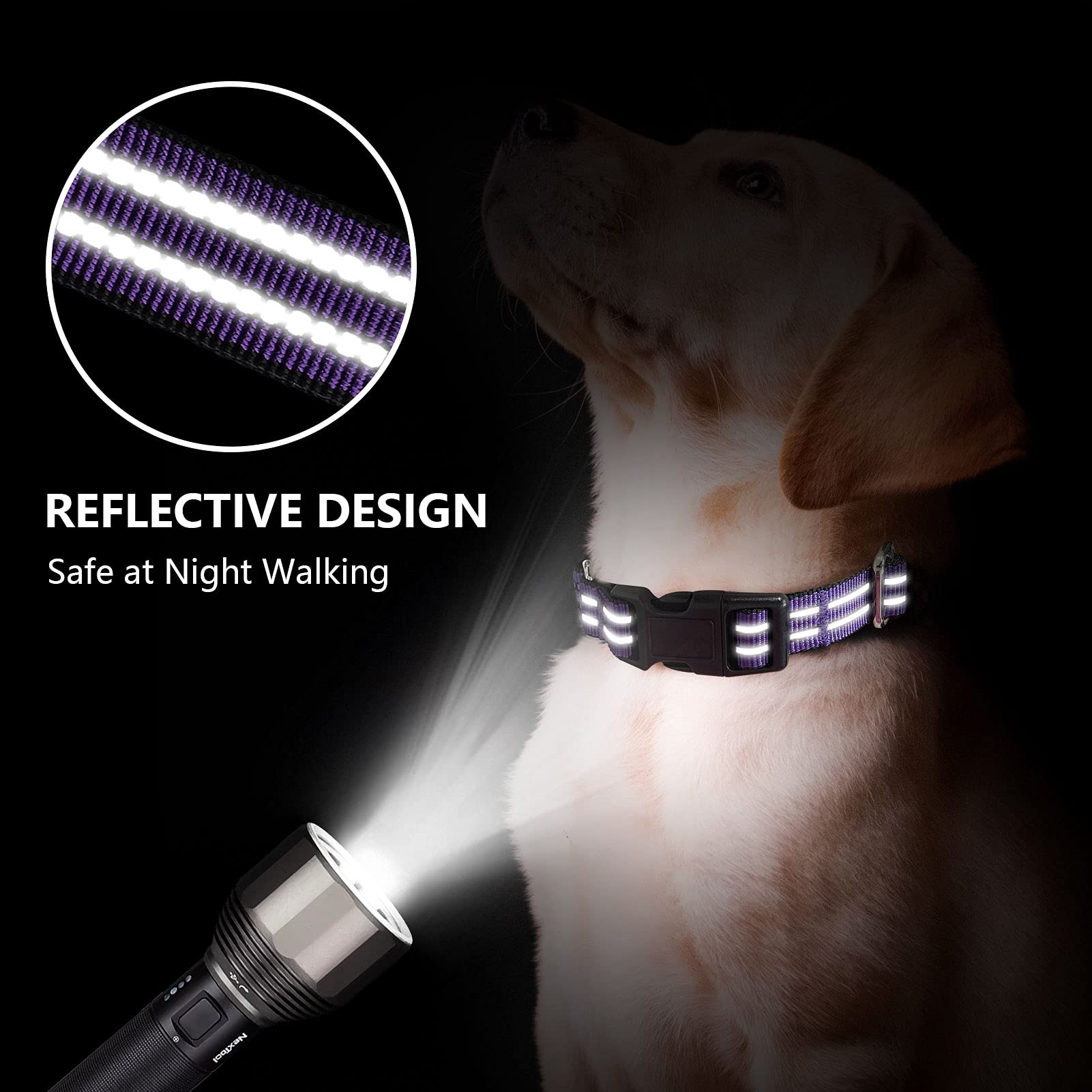 Hikiko reflective night-walk Collar in purple enhances visibility for safer evening strolls.