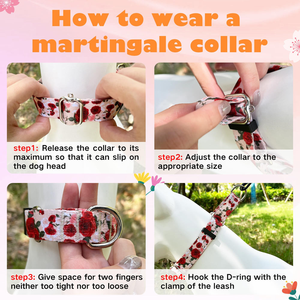 Hikiko training collar helps prevent escapes during leash walks.