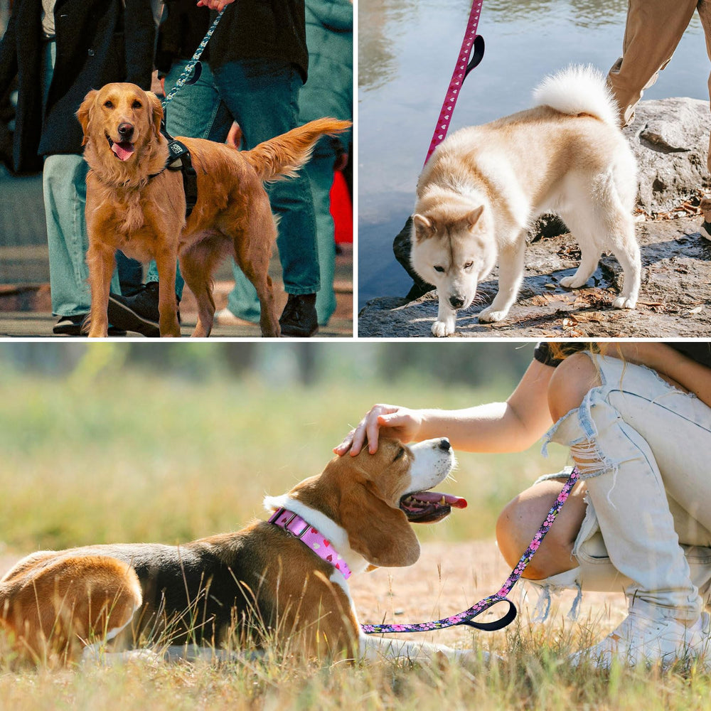 Hikiko leash ideal for walking, training, hiking and travel outdoors.