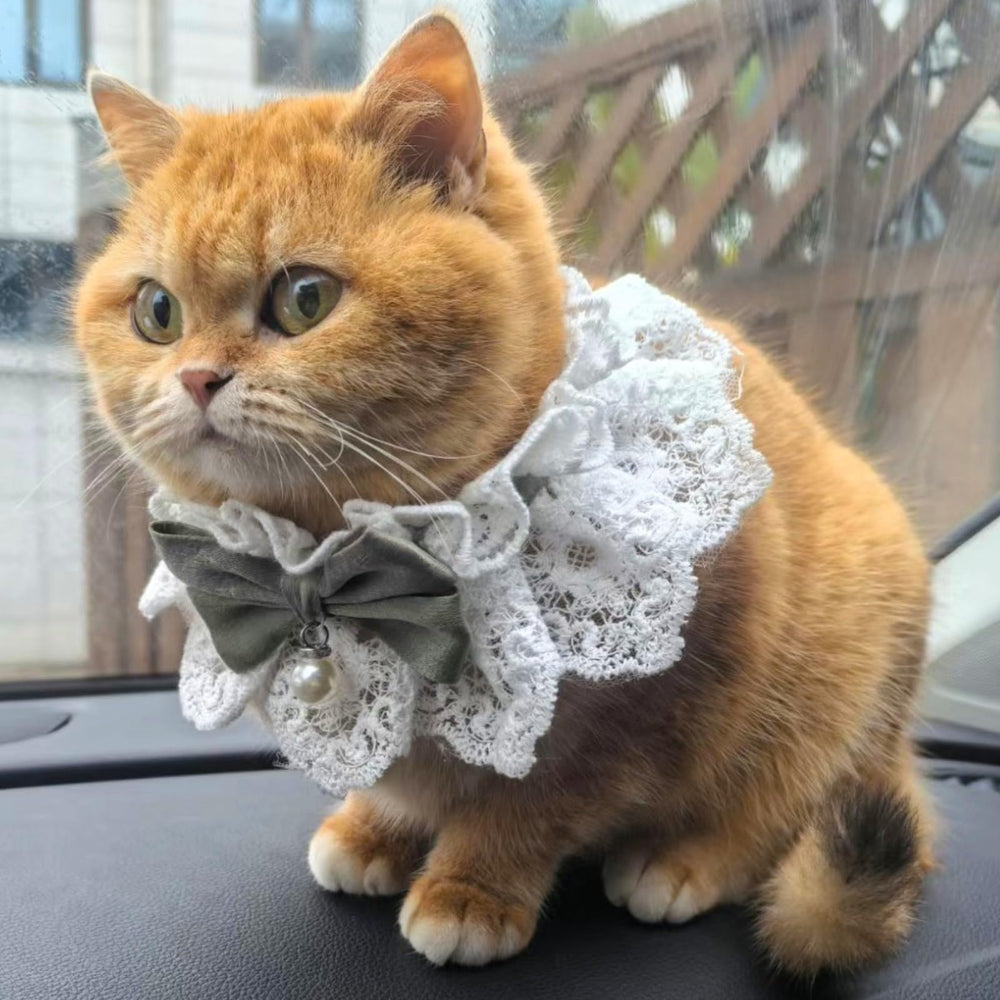Hikiwin cat-costume lace bib suitable for birthdays, weddings, and photoshoots
