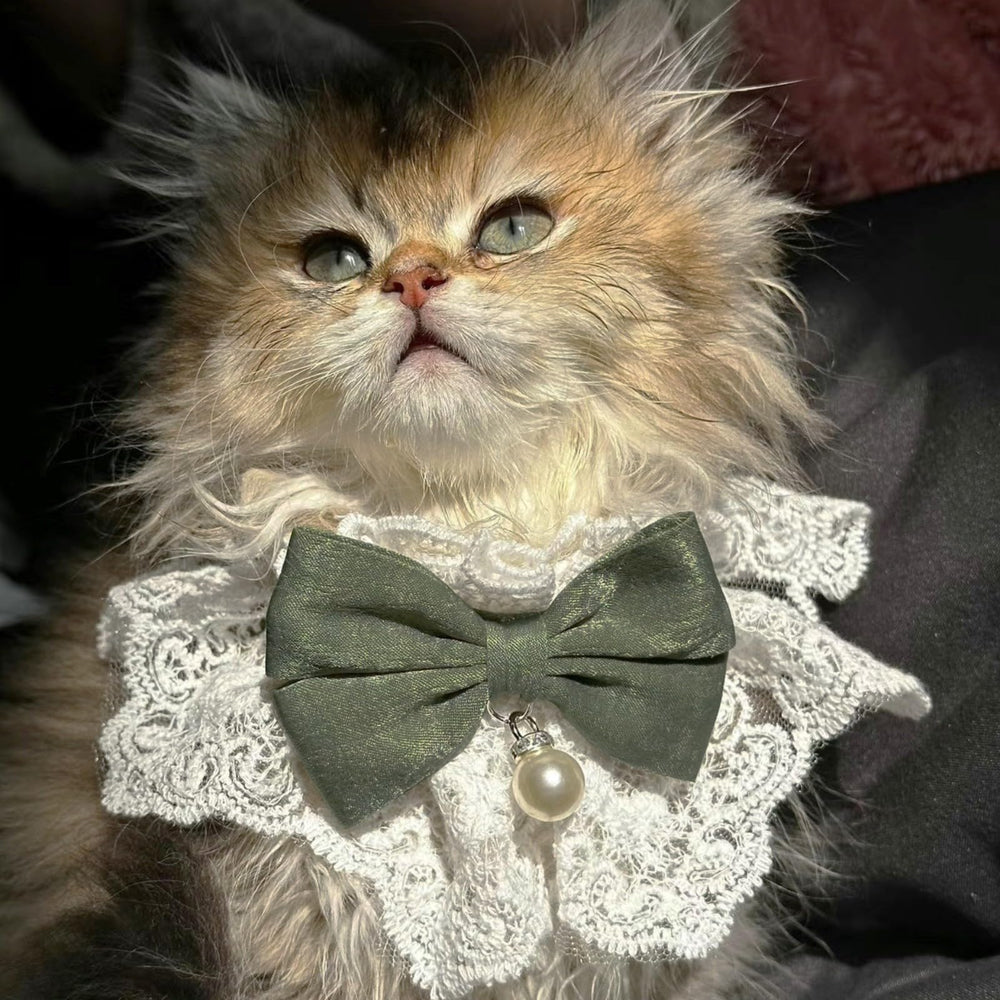 Hikiwin cute-bow and pearl details elevate cat outfits for special occasions